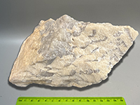 Syenite granite pegmatite